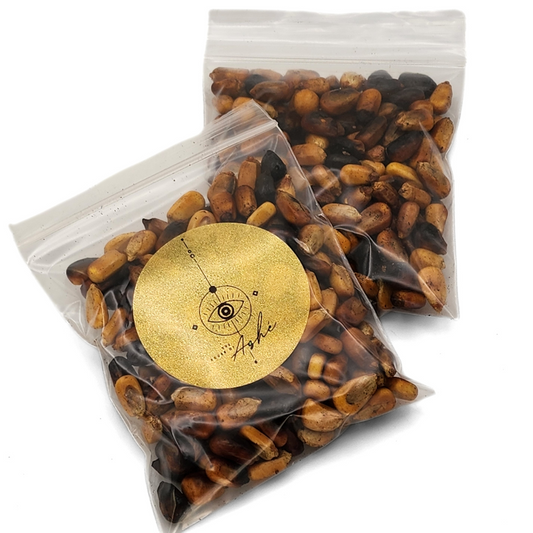 Maiz Tostado – Roasted Corn (2 oz.)