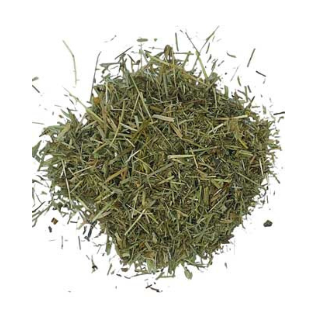 Shavegrass / Horsetail Herb (Cola de Caballo)