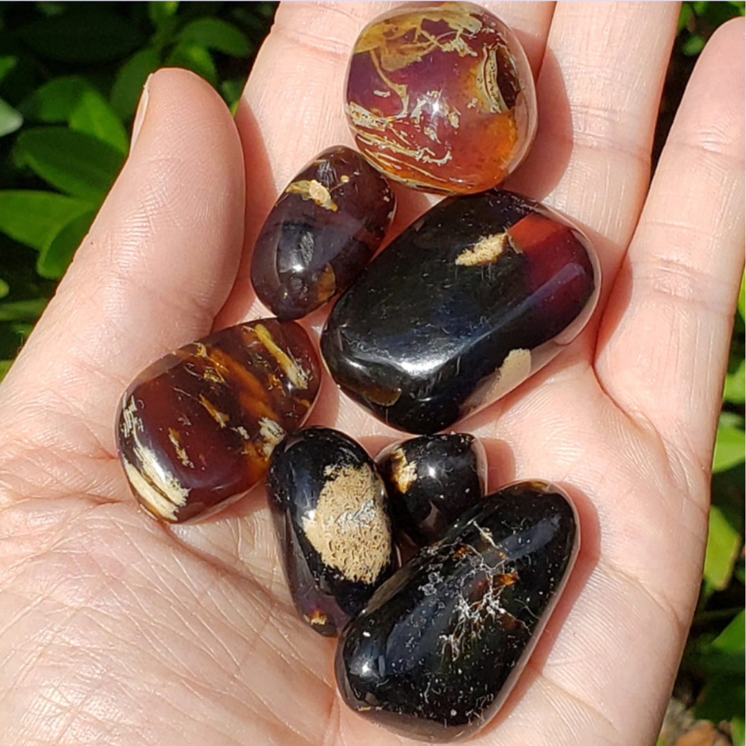 Zebra Amber Tumbled Stone