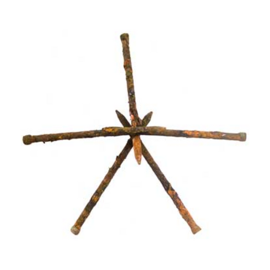 Rusty Coffin Nails (set of 5)