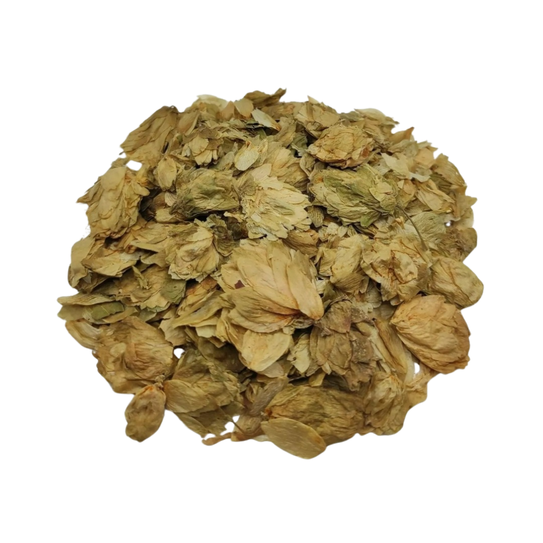 Hops Flower
