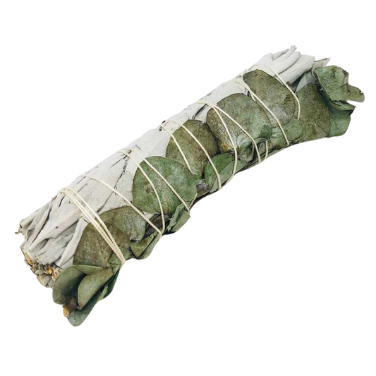 White Sage with Eucalyptus Smudge Stick 9"