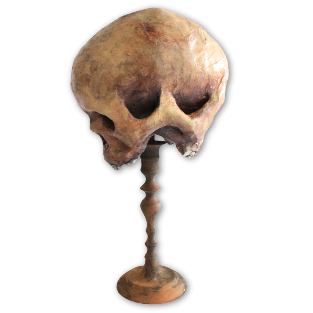 “Dos Caras” – The Two-Faced Skull by Ricardo Pustanio