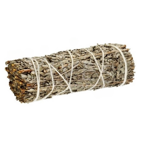 Blue Sage Smudge Stick 4"
