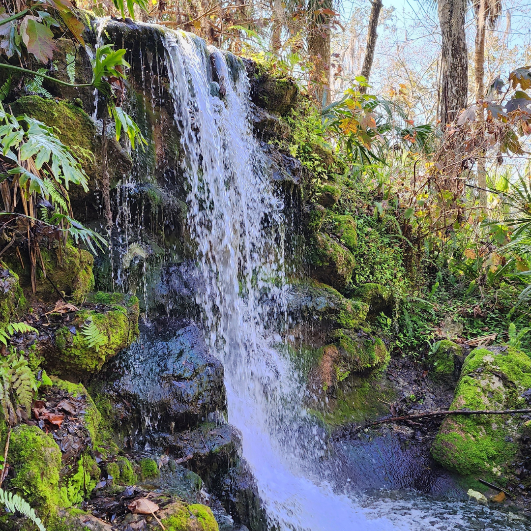 Rainbow Springs Waterfall Water