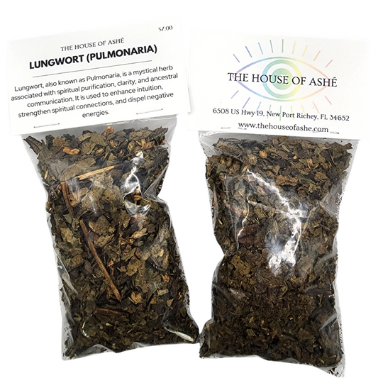 Lungwort (Pulmonaria)