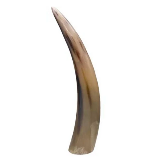 12" Horn End