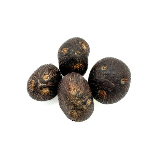 Ikin 3 Eyes (Palm Oil Seed) Ikinis de 3 Ojos - 1pc.