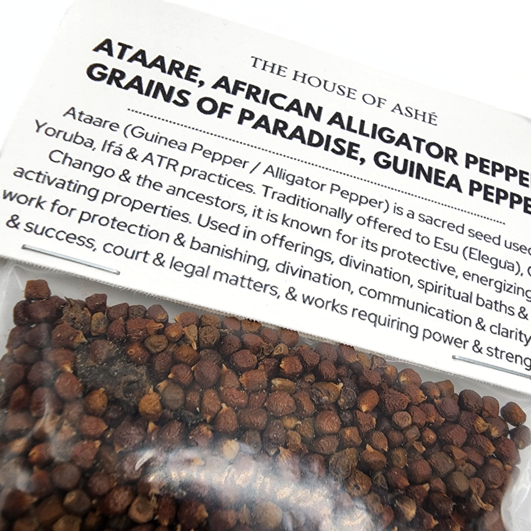 Ataare | African Alligator Pepper | Grains of Paradise | Pimienta de Guinea (Guinea Pepper)