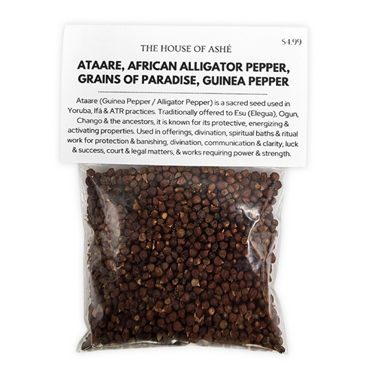 Ataare | African Alligator Pepper | Grains of Paradise | Pimienta de Guinea (Guinea Pepper)