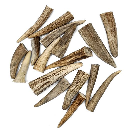 Antler Tip