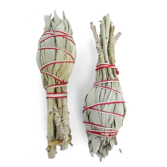 White Sage Torch Smudge Stick 3-4"