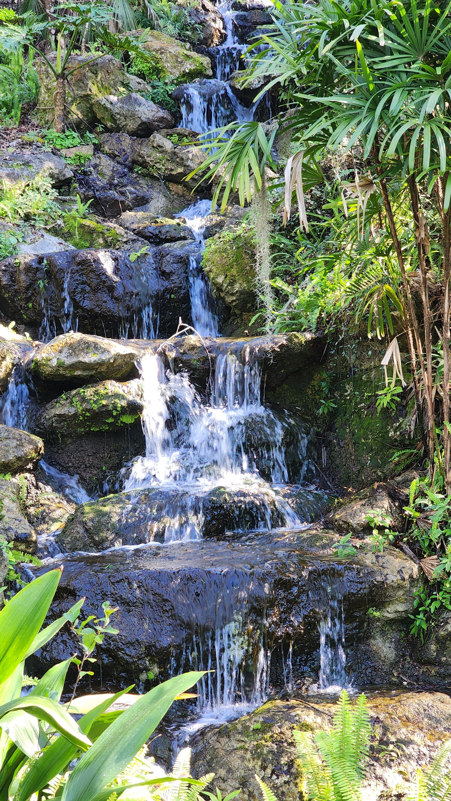 Seminole Falls Waterfall Water (2oz) Collected 02/2024