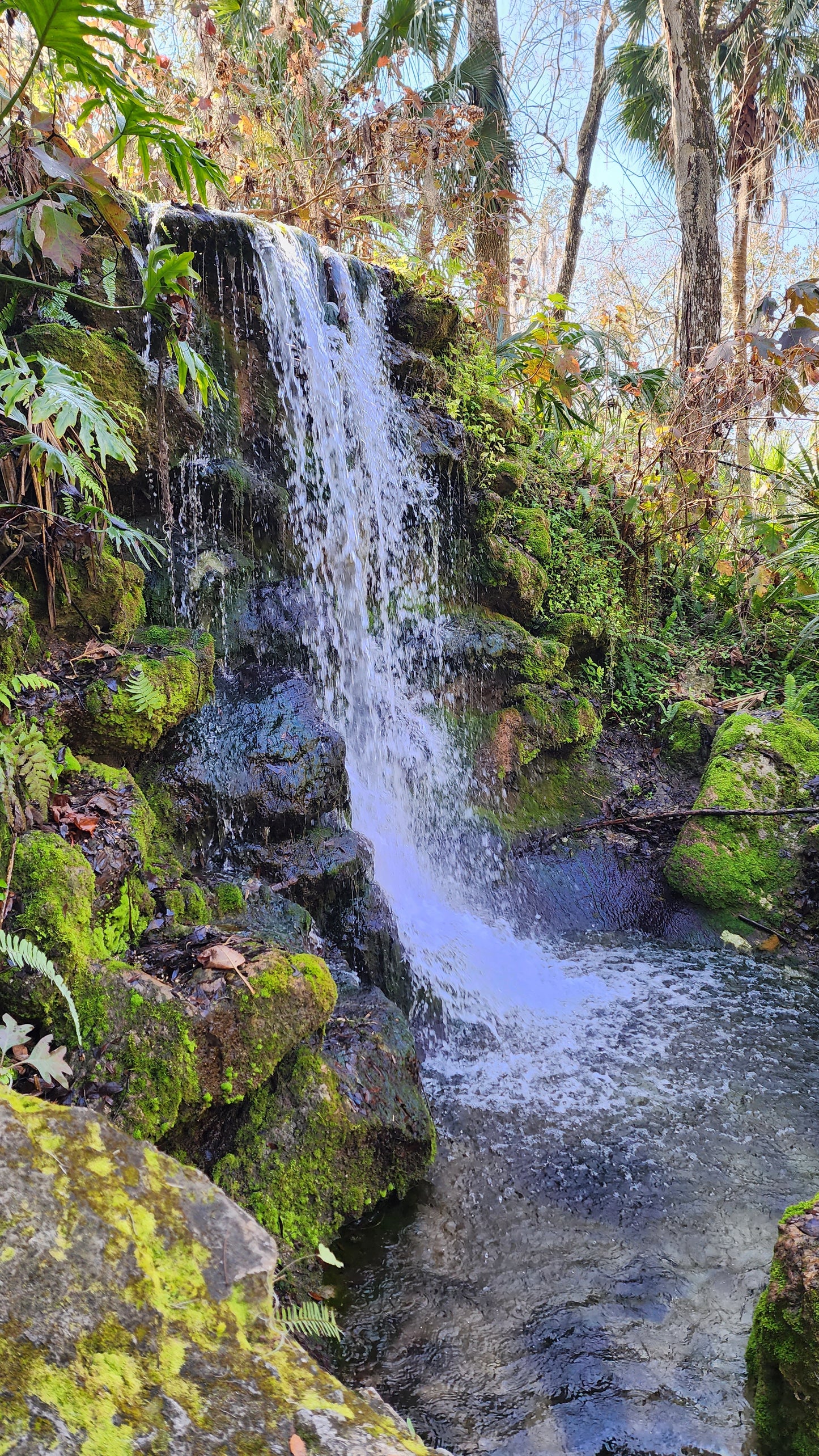 Rainbow Springs Waterfall Water (2oz) Collected 02/2024