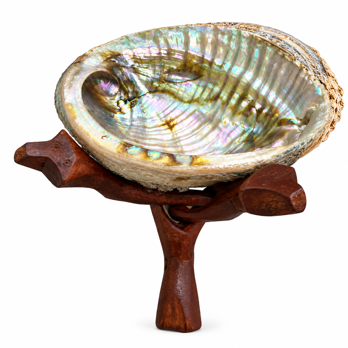 Abalone Shell with Tripod Stand Set