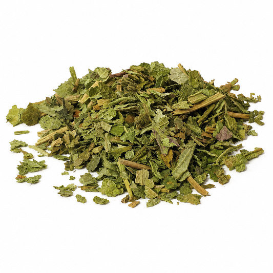 Lobelia Leaf Indian Tobacco