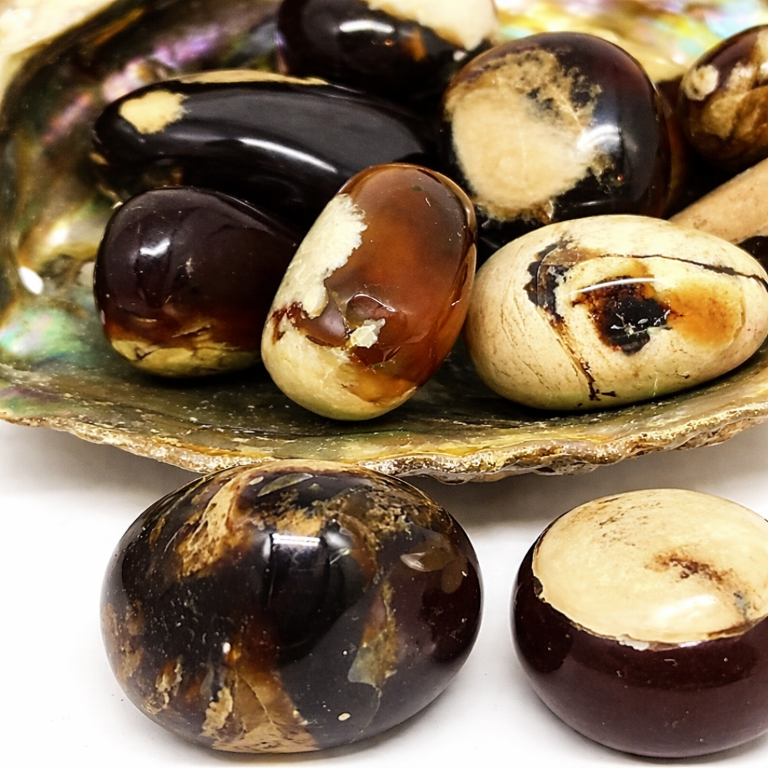 Zebra Amber Tumbled Stone