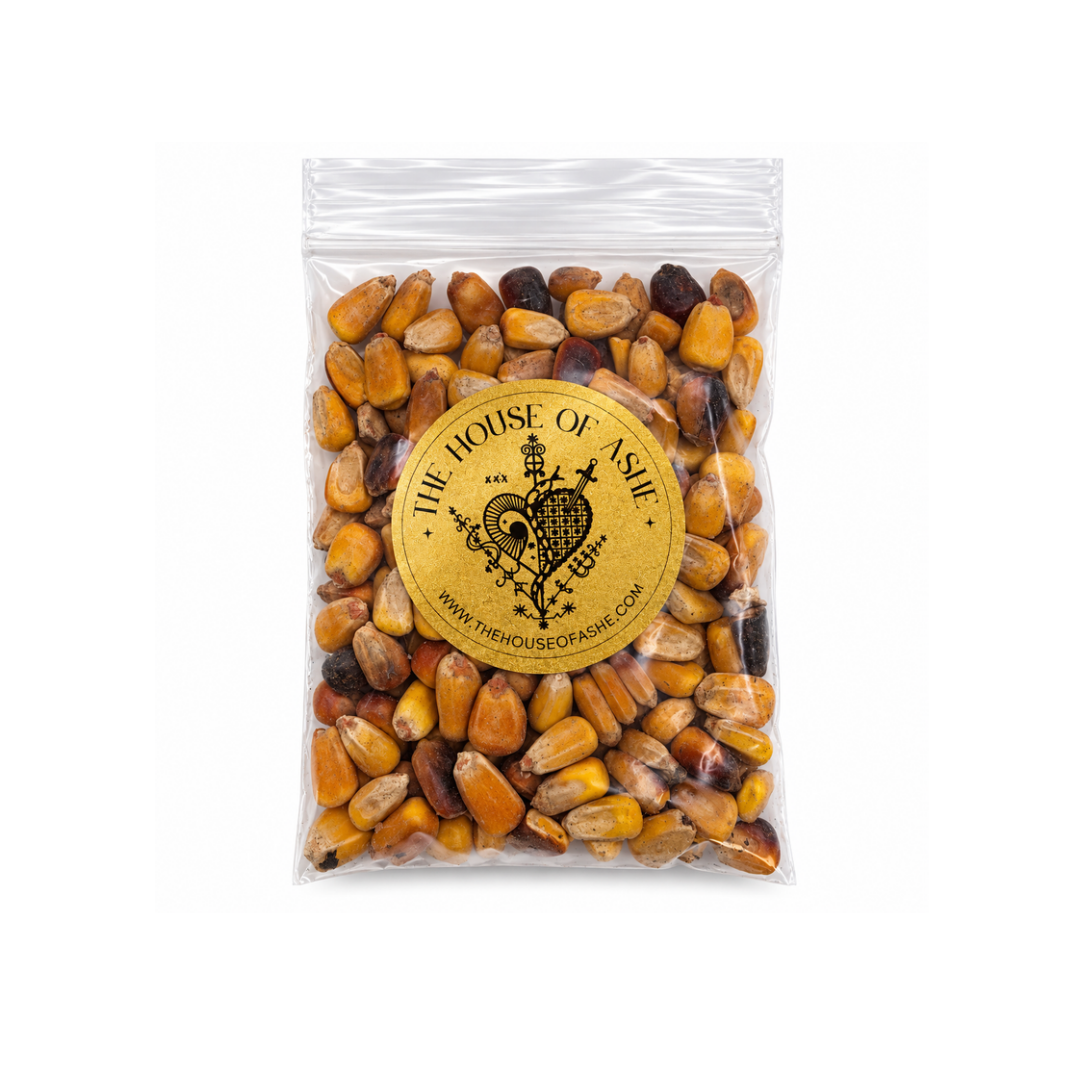 Maiz Tostado | Roasted Corn (2 oz.)