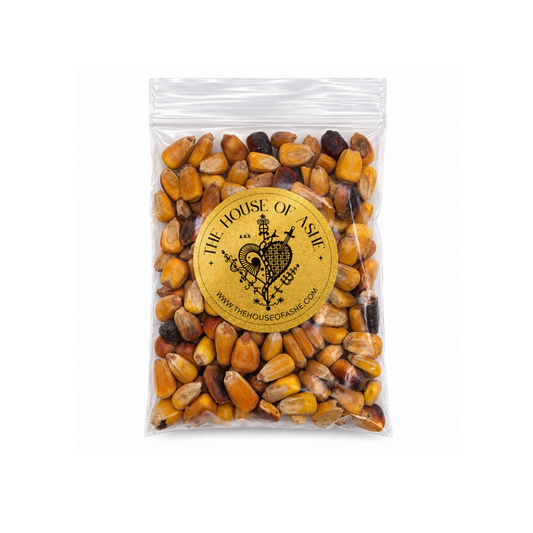 Maiz Tostado | Roasted Corn (2 oz.)