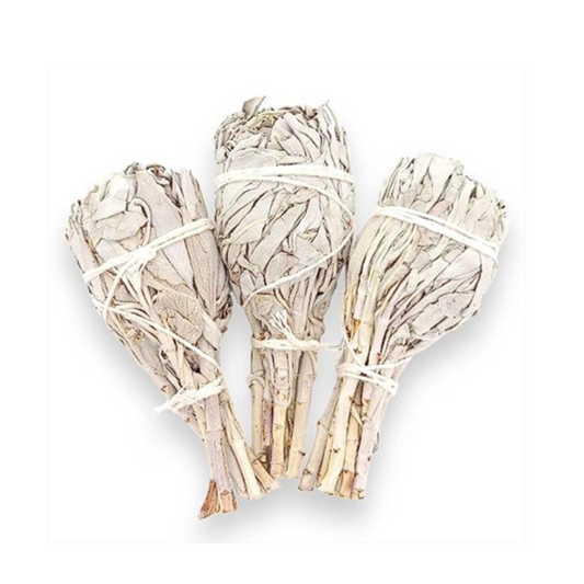 White Sage Torch Smudge Stick