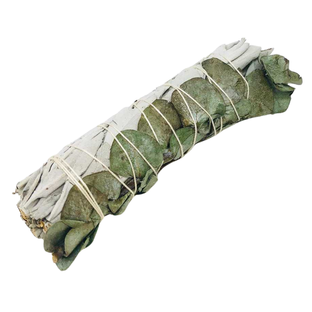 White Sage with Eucalyptus (9") Smudge Stick