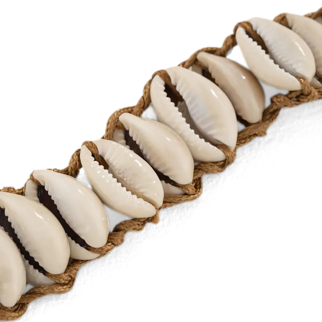 Natural Cowrie Shell Braided Bracelet