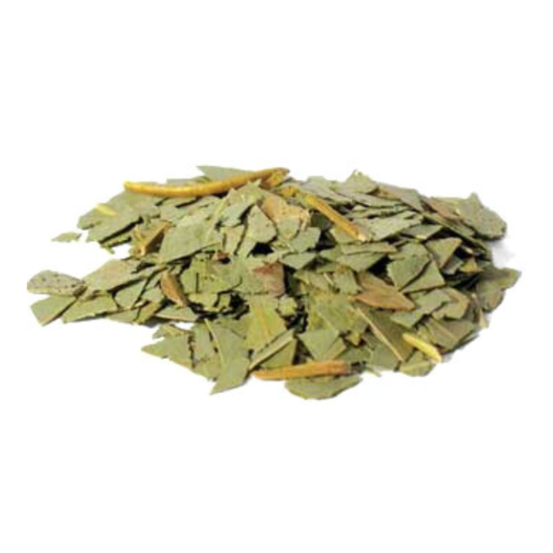 Eucalyptus Leaf