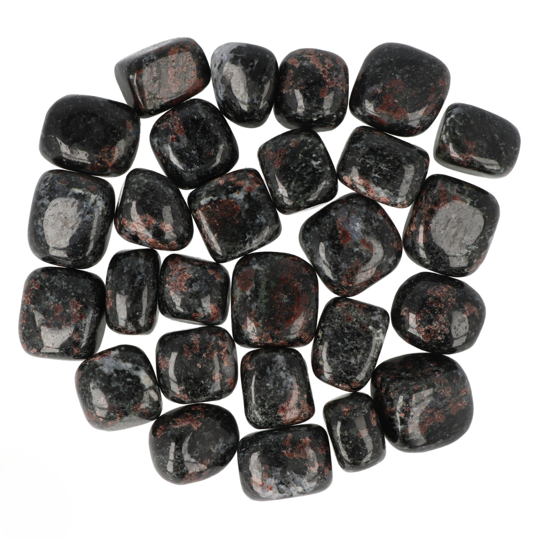 Garnet in Biotite