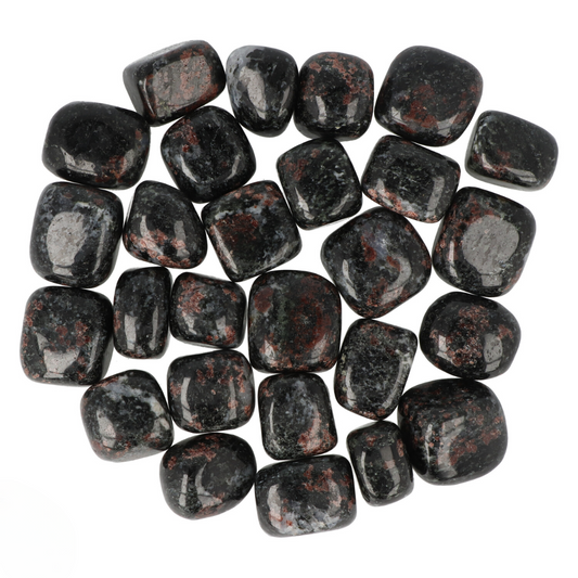 Garnet in Biotite