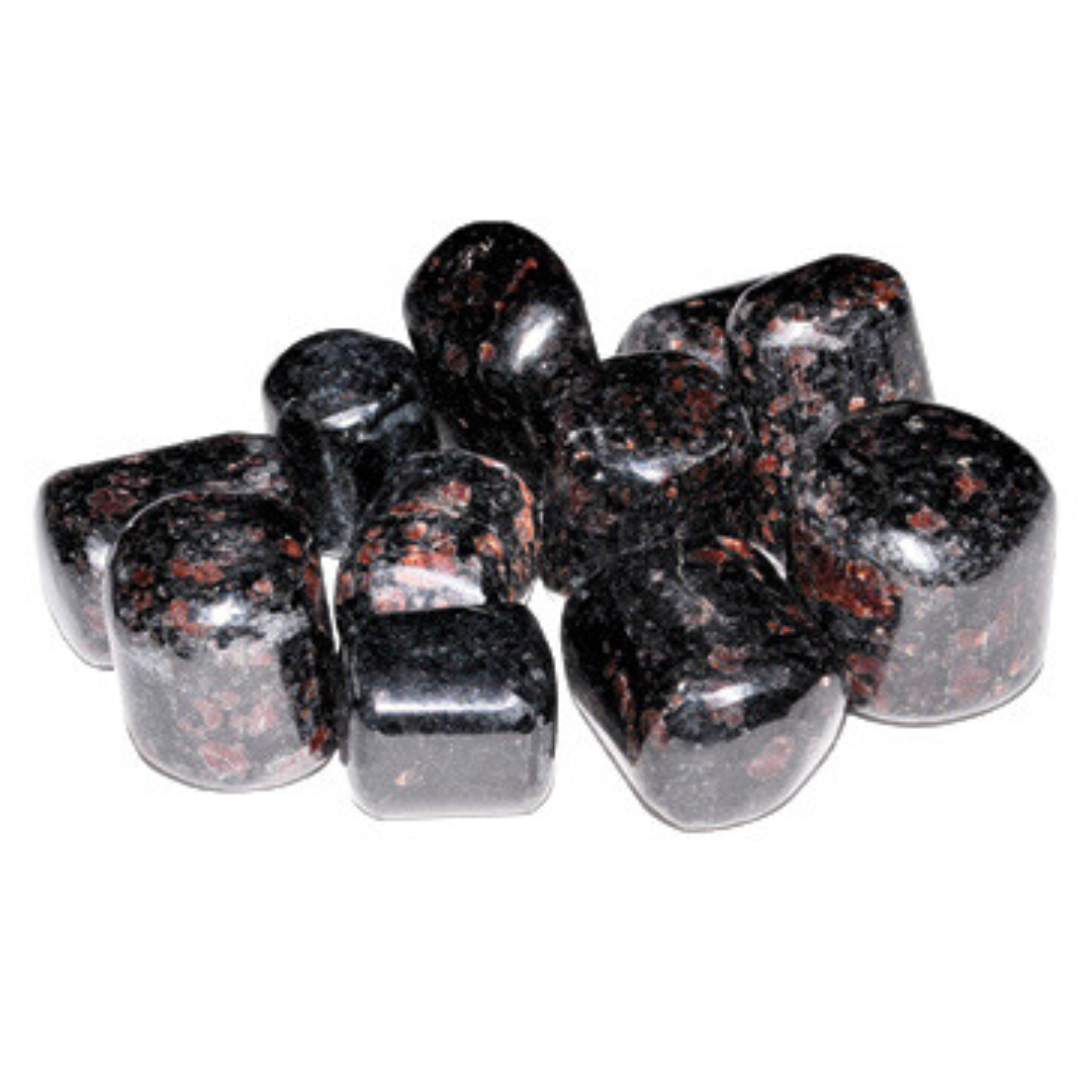 Garnet in Biotite