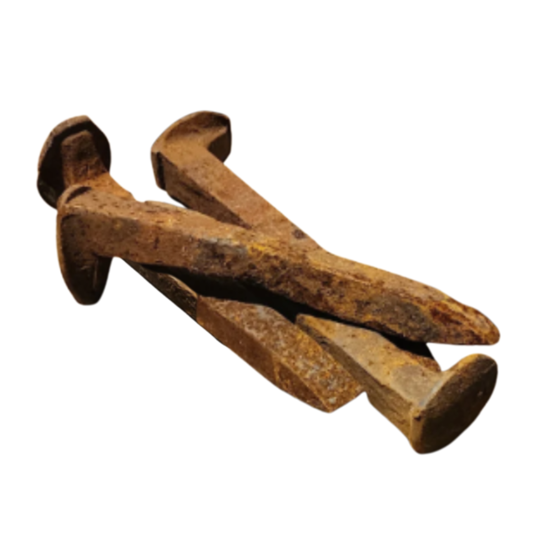 Rusty Railroad Spikes - Hand Collected (set of 4)