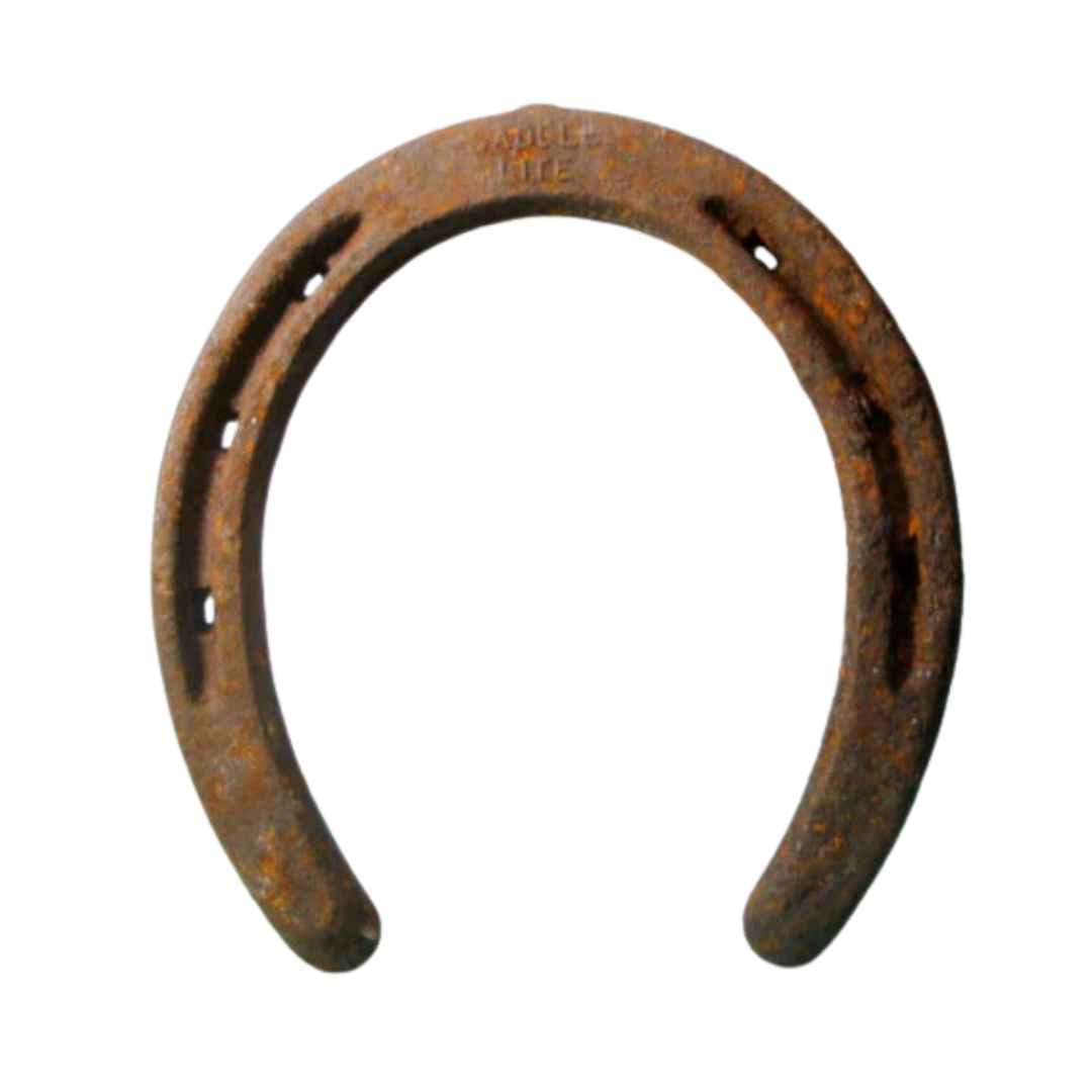 Rusty Horseshoe