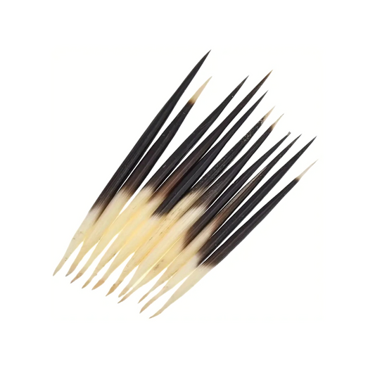 Porcupine Quill